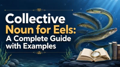 Collective Noun for Eels: A Complete Guide with Examples