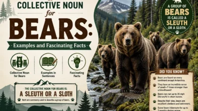 Collective Noun for Bears: Examples and Fascinating Facts