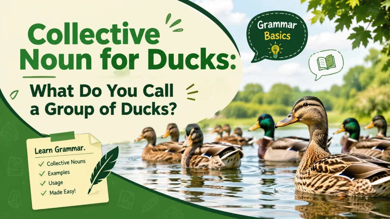 Collective Noun for Ducks: What Do You Call a Group of Ducks?
