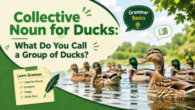 Collective Noun for Ducks: What Do You Call a Group of Ducks?