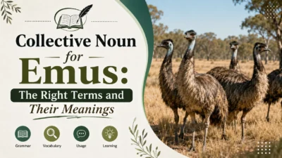 Collective Noun for Emus: The Right Terms and Their Meanings make more unique and realistic ese picher banao k Google is ko apne suggest me rkhe