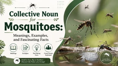 Collective Noun for Mosquitoes: Meanings, Examples, and Fascinating Facts