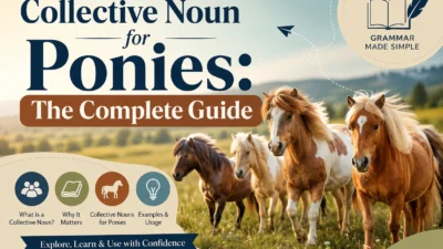 Collective Noun for Ponies: The Complete Guide