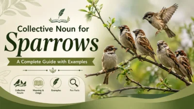 Collective Noun for Sparrows: A Complete Guide with Examples