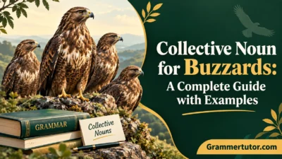 Collective Noun for Buzzards: A Complete Guide with Examples