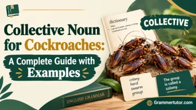 Collective Noun for Cockroaches: A Complete Guide with Examples