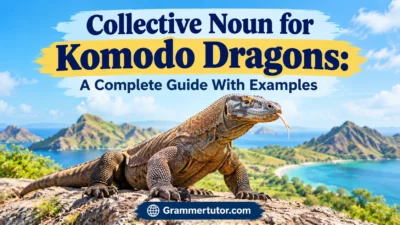 Collective Noun for Komodo Dragons: A Complete Guide With Examples