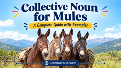 Collective Noun for Mules: A Complete Guide with Examples
