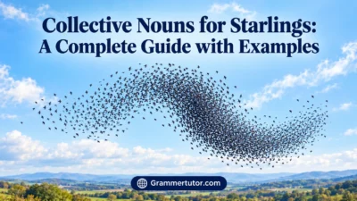 Collective Noun for Starlings: A Complete Guide with Examples