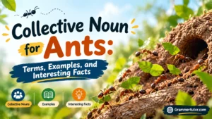 Collective Noun for Ants: Terms, Examples, and Interesting Facts