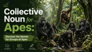 Collective Noun for Apes: Discover the Names for Groups of Apes