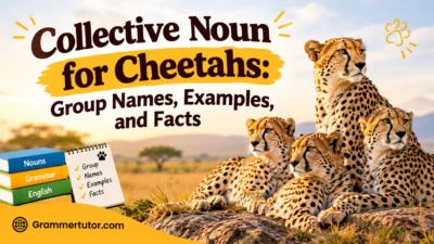 Collective Noun for Cheetahs: Group Names, Examples, and Facts