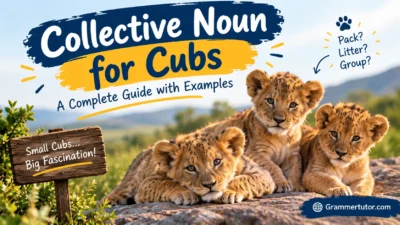 Collective Noun for Cubs: A Complete Guide with Examples