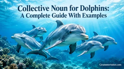 Collective Noun for Dolphins: A Complete Guide With Examples