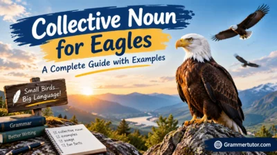 Collective Noun for Eagles: A Complete Guide with Examples