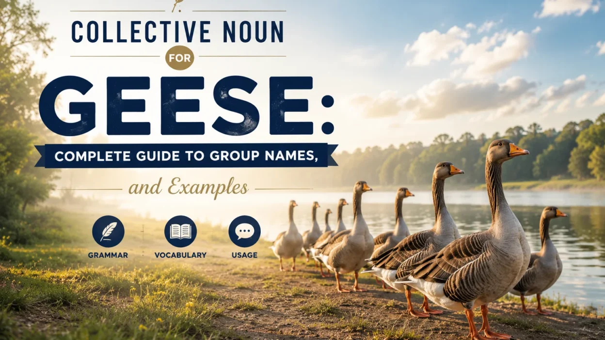 Collective Noun for Geese: Complete Guide to Group Names, and Examples