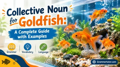 Collective Noun for Goldfish: A Complete Guide with Examples