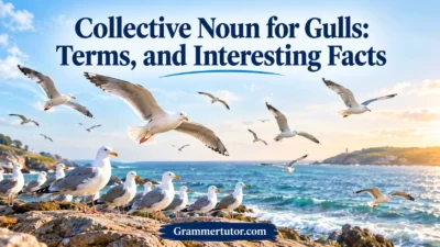 Collective Noun for Gulls: Terms, and Interesting Facts