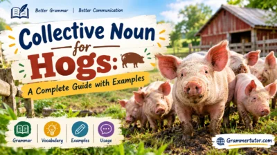 Collective Noun for Hogs: A Complete Guide with Examples