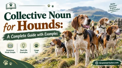 Collective Noun for Hounds: A Complete Guide with Examples