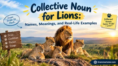 Collective Noun for Lions: Names, Meanings, and Real-Life Examples