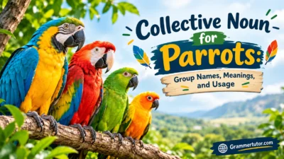 Collective Noun for Parrots: Group Names, Meanings, and Usage