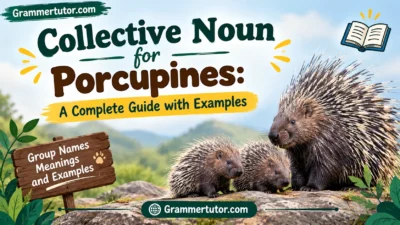 Collective Noun for Porcupines: A Complete Guide with Examples