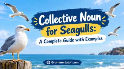 Collective Noun for Seagulls: A Complete Guide with Examples