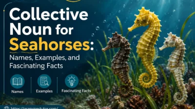 Collective Noun for Seahorses: Names, Examples, and Fascinating Facts