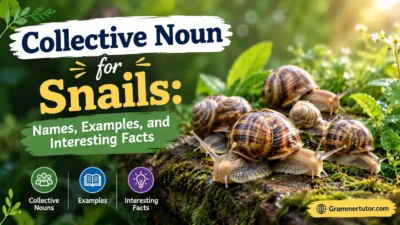 Collective Noun for Snails: Names, Examples, and Interesting Facts
