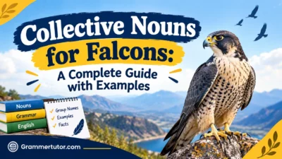 Collective Nouns for Falcons: A Complete Guide with Examples
