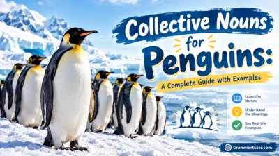Collective Nouns for Penguins: A Complete Guide with Examples