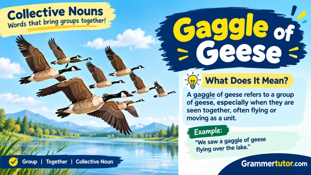 Gaggle of Geese