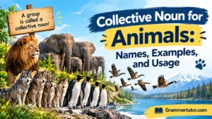 Collective Noun for Animals: Names, Examples, and Usage