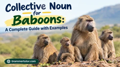 Collective Noun for Baboons: A Complete Guide with Examples