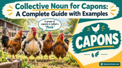 Collective Noun for Capons: A Complete Guide with Examples