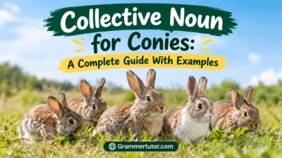 Collective Noun for Conies: A Complete Guide With Examples