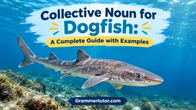 Collective Noun for Dogfish: A Complete Guide with Examples