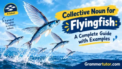 Collective Noun for Flyingfish