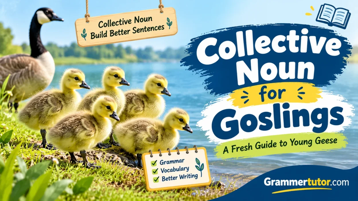 Collective Noun for Goslings: A Fresh Guide to Young Geese
