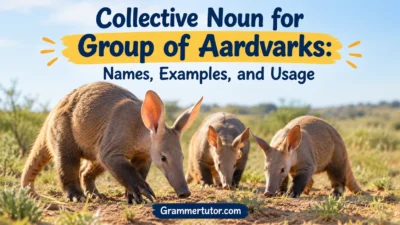 Collective Noun for Group of Aardvarks: Names, Examples, and Usage