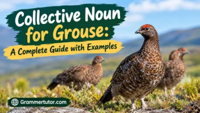 Collective Noun for Grouse: A Complete Guide with Examples
