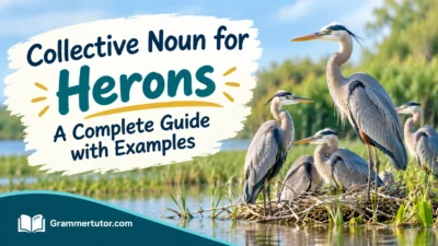 Collective Noun for Herons: A Complete Guide with Examples