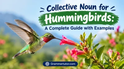 Collective Noun for Hummingbirds: A Complete Guide with Examples