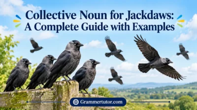 Collective Noun for Jackdaws: A Complete Guide with Examples
