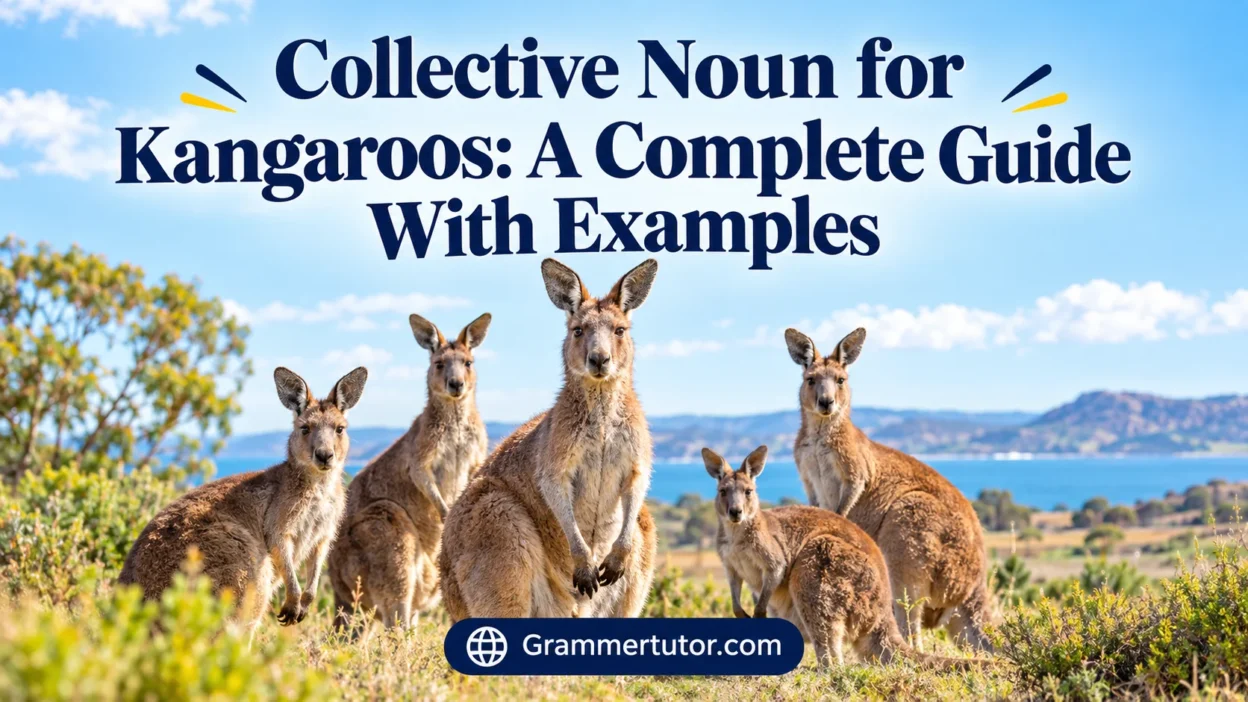 Collective Noun for Kangaroos: A Complete Guide With Examples