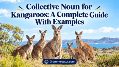 Collective Noun for Kangaroos: A Complete Guide With Examples