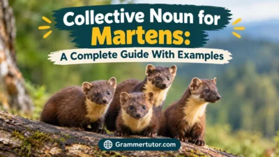 Collective Noun for Martens: A Complete Guide With Examples
