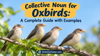 Collective Noun for Oxbirds: A Complete Guide with Examples
