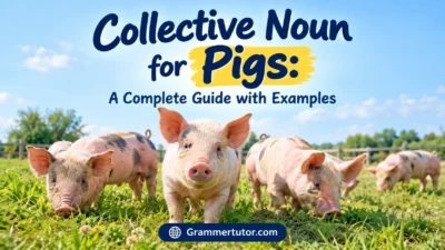 Collective Noun for Pigs: A Complete Guide with Examples